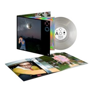 Harry Styles Kiss All The Time. Disco, Occasionally. Smoke Gray Vinyl • IN HAND!